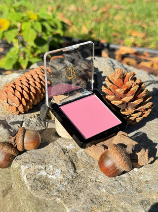 Powder highlighter blush