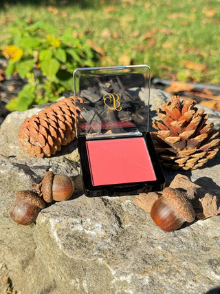 Powder highlighter blush